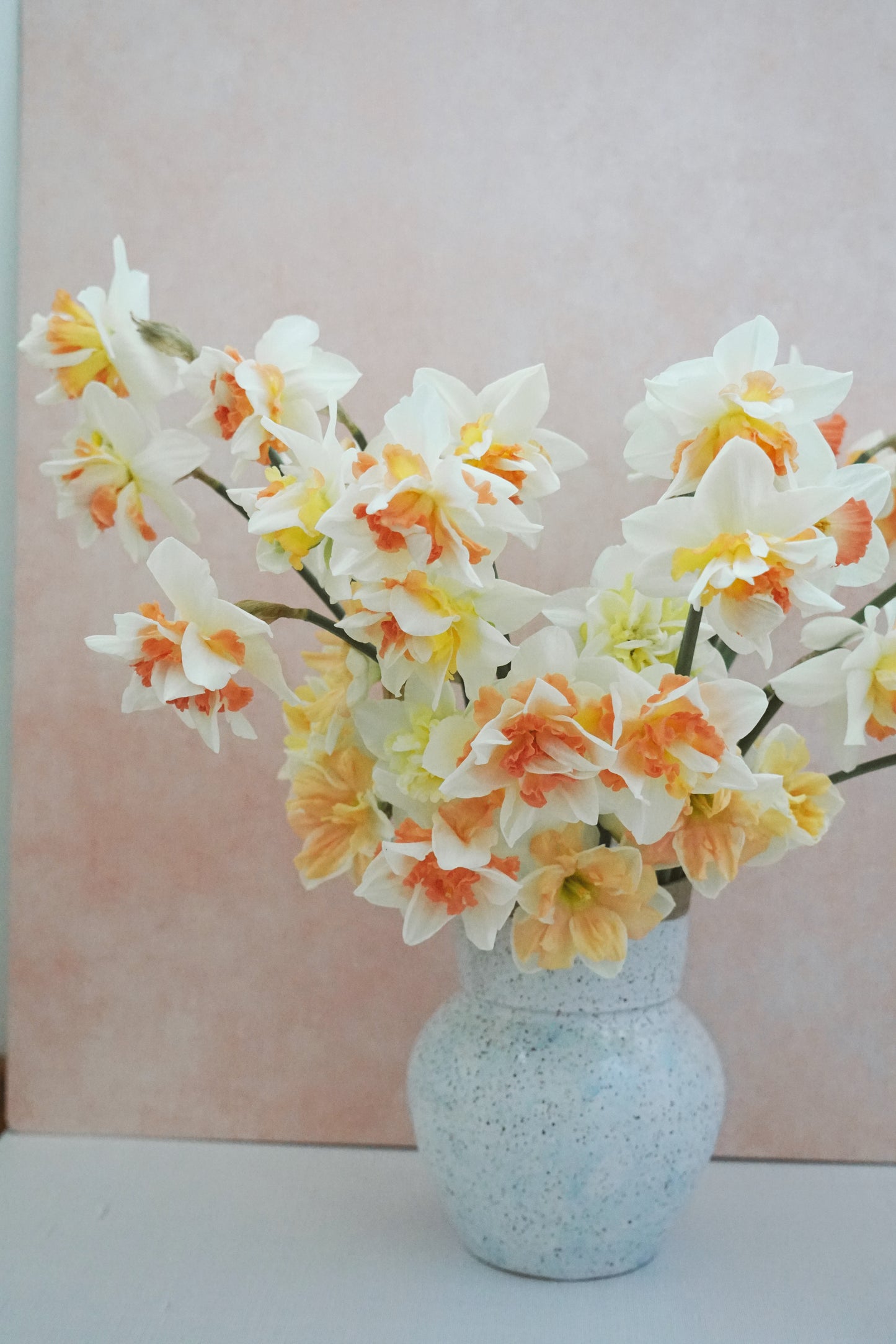 2026 April Flower Subscription (Narcissus CSA)
