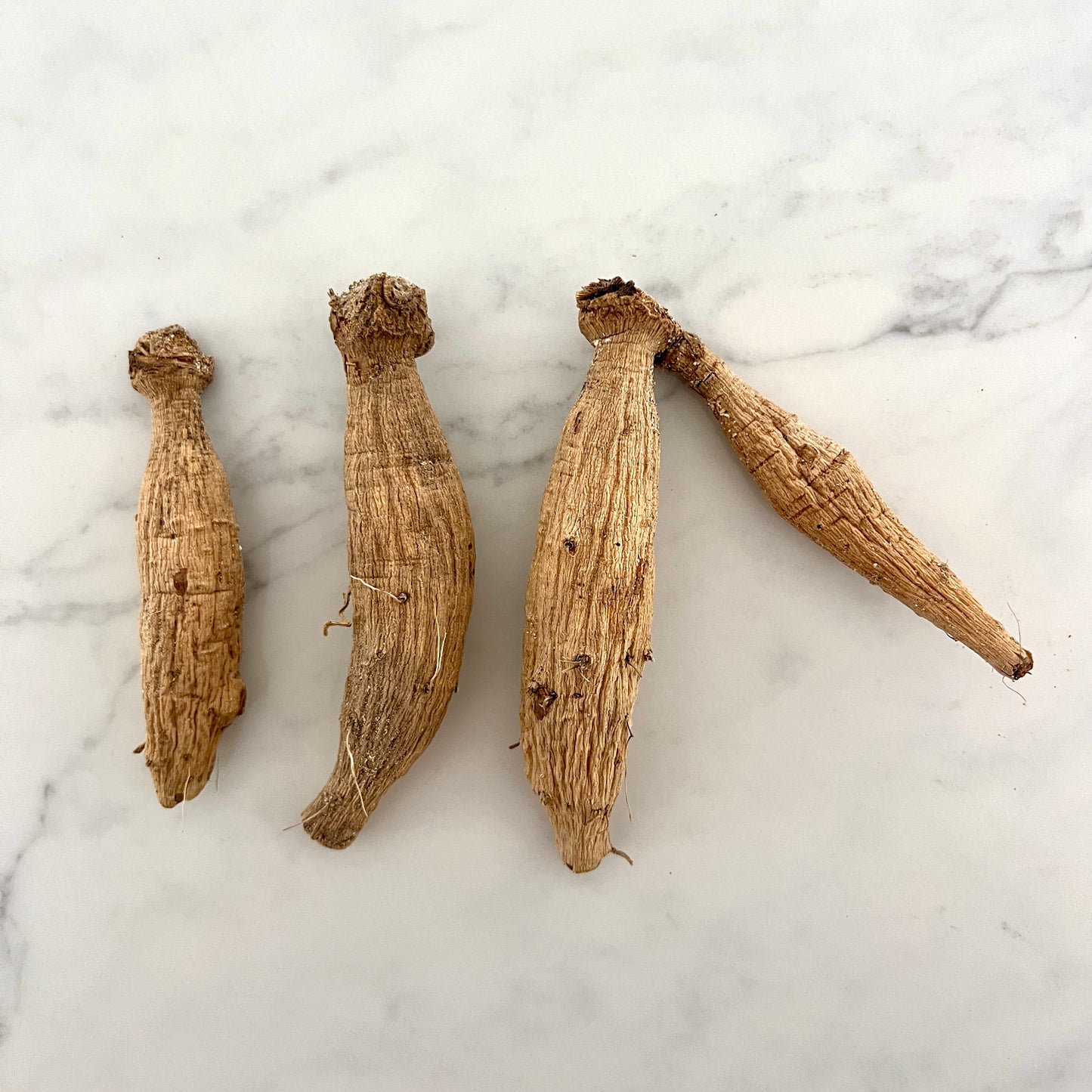 KA's® Keltie Rose - GRADE B