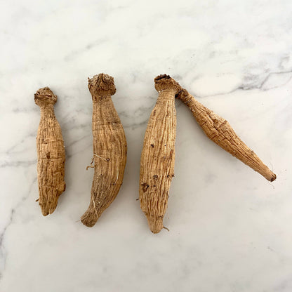 KA's® Keltie Rose - GRADE B