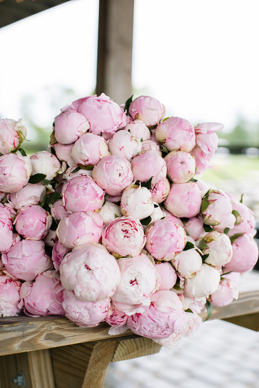 2026 June Flower Subscription (Peony CSA)